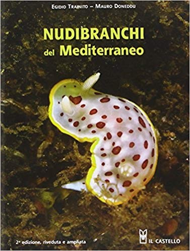 Nudibranchi del Mediterraneo